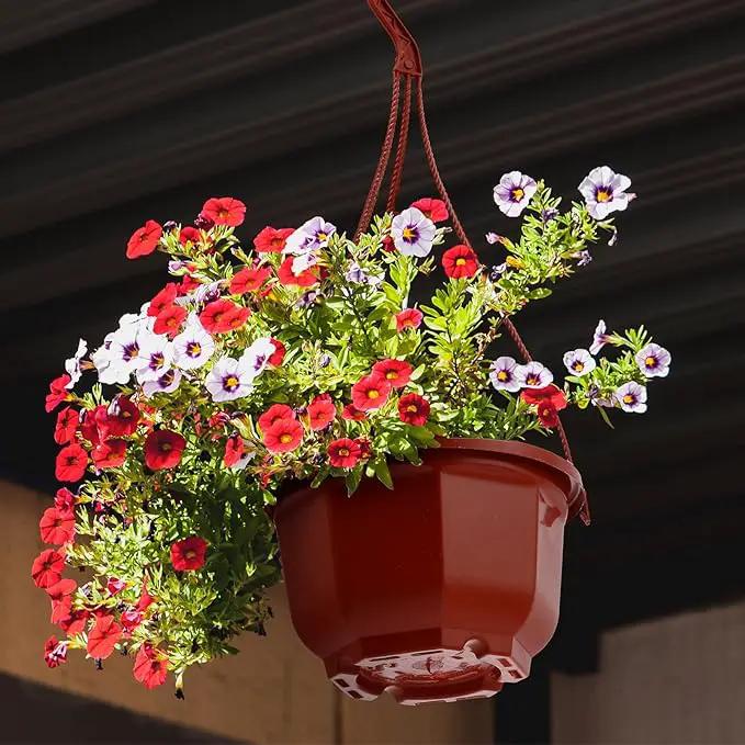 Roshtia 24 Pcs Hanging Plastic Planter Pot with Hook Flower Pots Baskets Hanging Nursery Planter Holder for Outdoor Indoor Plant Garden(Brown,6.7 Inch) by GreenHaven Gardens