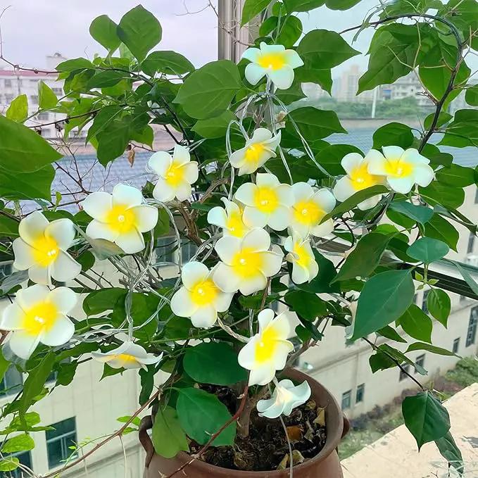Solar Petunia Blue Morning Glory Flowers and Solar Hawaiian Frangipani Flower String Lights Tropical Flowers by GreenHaven Gardens