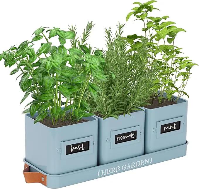 PERFNIQUE Indoor Herb Garden, Herb Garden Planter Set with Tray, Farmhouse Indoor Plant Pots, Windowsill Herb Garden with Drainage(Planter only) for Indoor/Outdoor, Window Pots(Sky Blue) by GreenHaven Gardens