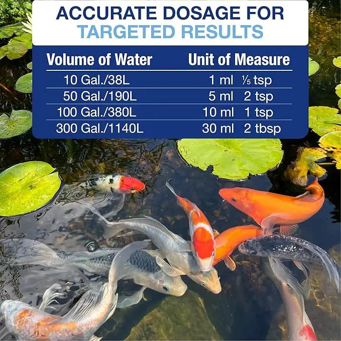 Aquascape 96026 Algaecide for Pond, Waterfall, and Water Features, 1-Gallon by GreenHaven Gardens