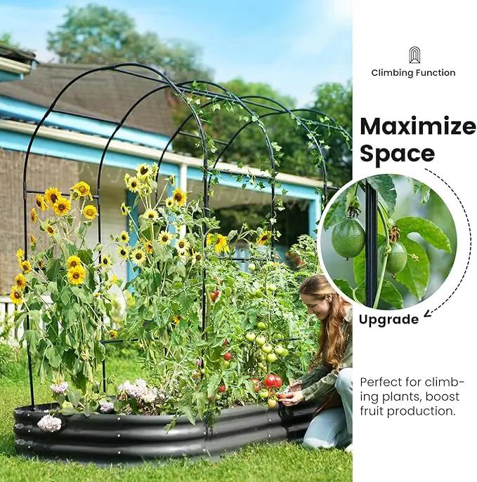 KING BIRD Raised Garden Bed with Arched Trellis Galvanized Planter Garden Box Outdoor for Gardening, Climbing Vegetables, Flowers 7.87x3.94x0.98 Ft, Dark Grey by GreenHaven Gardens