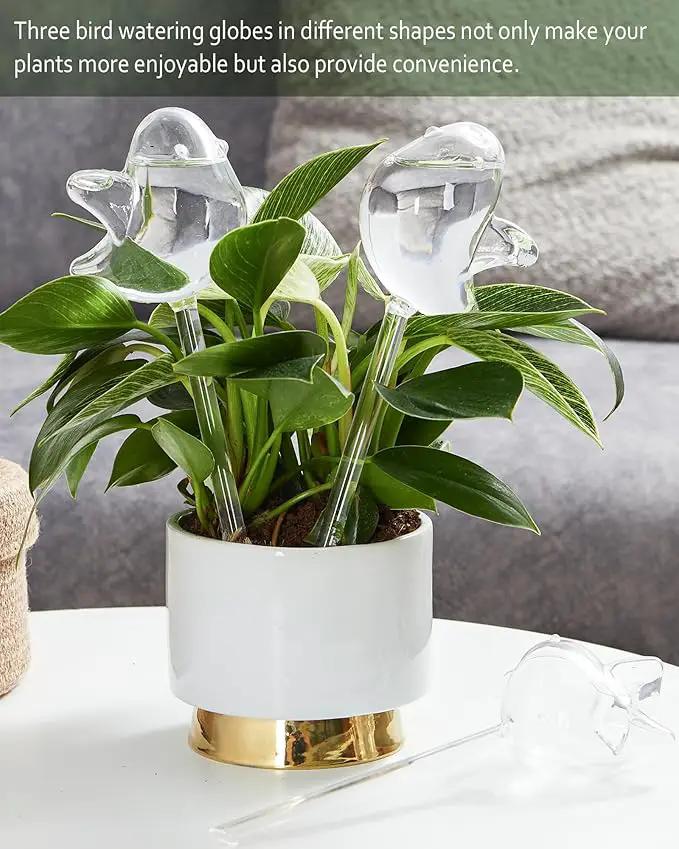 DN DECONATION 3 Pcs Bird Shaped Watering Globes, Birdlike Clear Glass Watering Bulbs, Watering Bulbs for Indoor Plants & Outdoor, Automatic Plant Watering System to Support Plant Health, Decor by GreenHaven Gardens