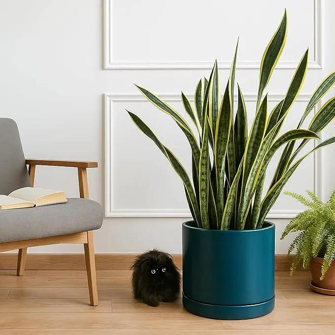 D'vine Dev 14 Inch Ceramic Planter Pot with Drainage Hole and Saucer, Indoor Cylinder Round Planter Pot, Teal, 94-O-G-9 by GreenHaven Gardens