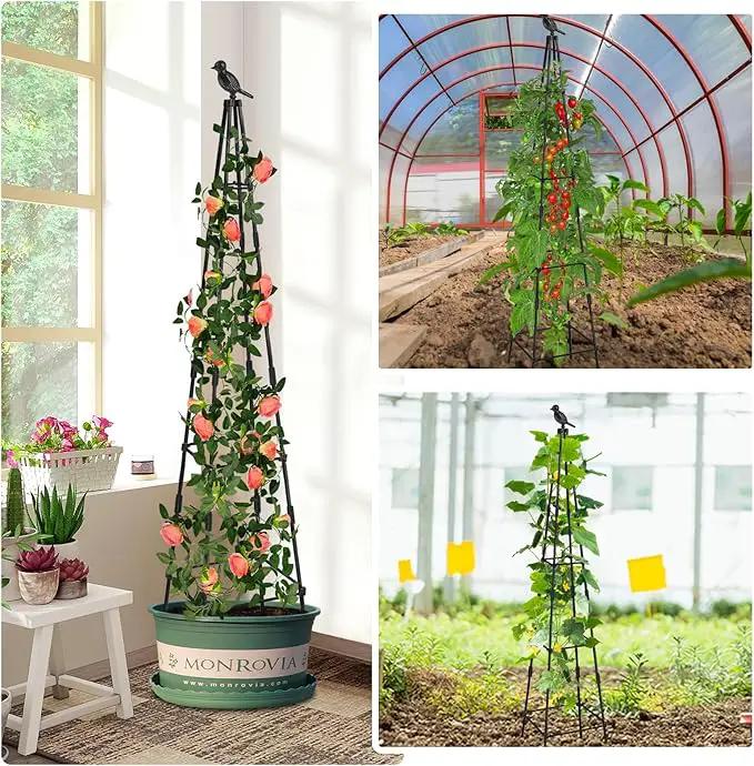 2 Pack Garden Obelisk Trellis for Climbing Plants Outdoors, 65 Inch Rustproof Plant Stand Climbing Support with Adjustable Heights for Indoor Potted Plants, Vines, Flowers Stands, Vegetables by GreenHaven Gardens