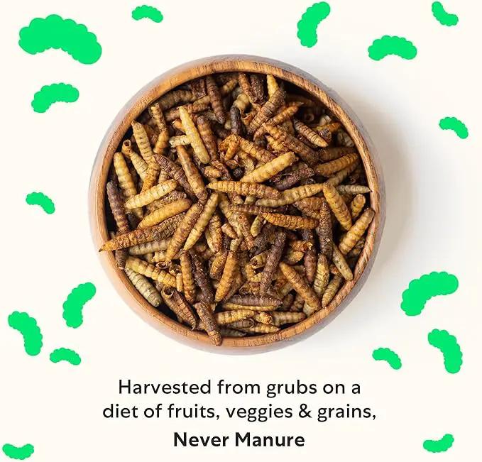 Grubblies - Black Soldier Fly Larvae for Chickens - Chicken Treats Grown in The US and Canada - for Strong Eggshells and Healthy Feathers - Grubblies Hometown Harvest 1LB by GreenHaven Gardens