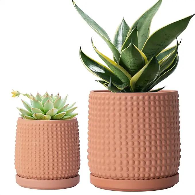 D'vine Dev 6 Inch 4 Inch Terracotta Indoor Planter Pots with Drainage Hole and Saucer, Beaded Design Flower Pots, Set of 2, Terracotta Color, 27-D-U-7 by GreenHaven Gardens