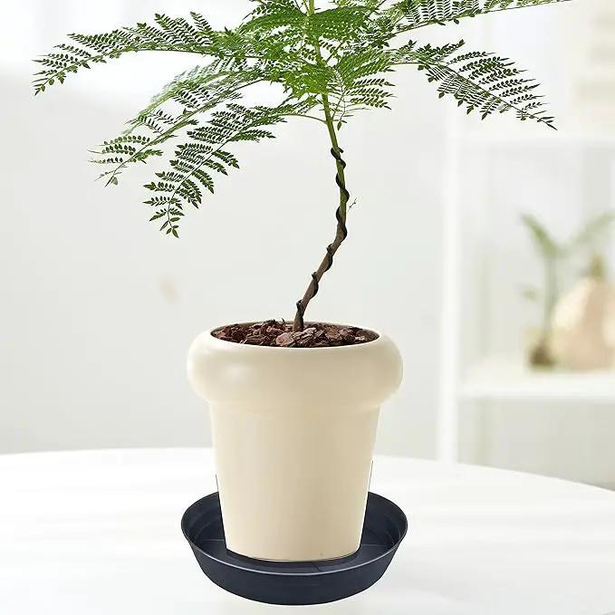 Plant Saucer 14 Inch, 4 Pack Extra Large Planter Saucer, Plastic Plant Saucers for Indoors and Outdoors, Deep Plant Pot Saucers, Drainage Tray for 9 10 12 in Planters by GreenHaven Gardens
