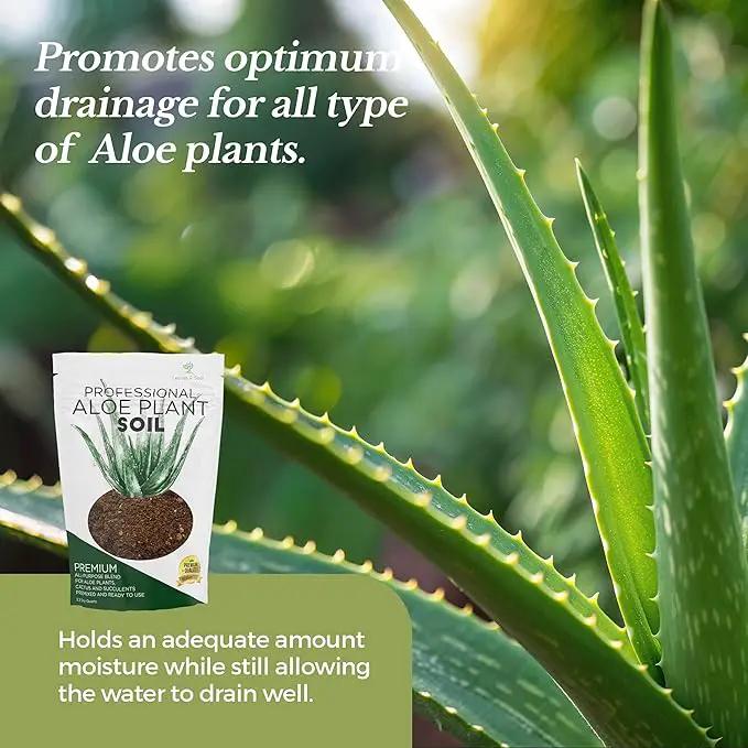 Professional Aloe Plant Soil | Premium All Purpose Blend | Large 2.2 Quarts | Ready to Use for Aloe, Cactus, Succulent Plants | Pinebark, Peat, Course Sand | Made in USA by GreenHaven Gardens