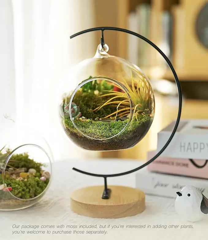 15-Piece Terrarium Kit with Live Moss – DIY Glass Globe Set with Tools, Soil, Stones & Spray Bottle – Indoor Mini Garden Gift for Plant Lovers, Home Decor & Zen Craft by GreenHaven Gardens