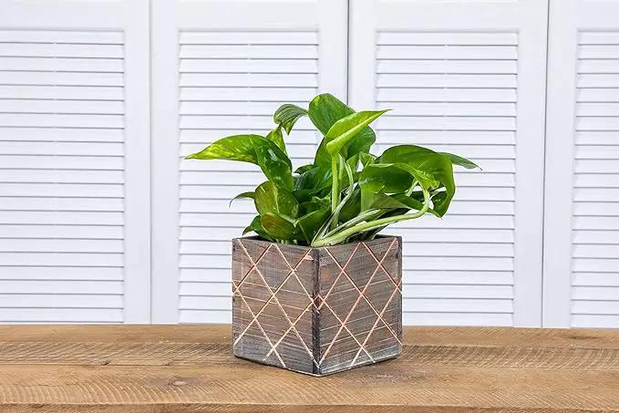 Wood Planter Box with Diamond Cross Hatch Style, 5 Inch Square, Rustic Barn Wood, Plastic Liner, Wedding Flowers Holder, Home and Venue Decor (5x5 Diamond Cross Hatch Set of 4, Natural) by GreenHaven Gardens