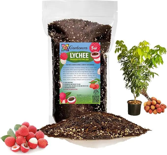 Premium Lychee Potting Soil Mix - Perfect Balance of Nutrients, Drainage, and Aeration for Thriving Lychee Trees - 5 Quart by GreenHaven Gardens