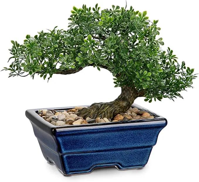 Artificial Bonsai Tree Faux Plants Indoor Fake Plants Decor with Blue Square Ceramic Pots for Home Table Office Desk Bathroom Shelf Bedroom Living Room Farmhouse Decorations by GreenHaven Gardens
