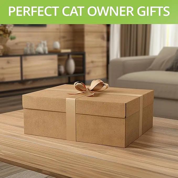 Organic Cat Grass for Indoor Cats - 4X Seed Packets | Pet Cat Grass Kit for Growing Wheat Grass w Planting Seeds, Tools & Planter by GreenHaven Gardens