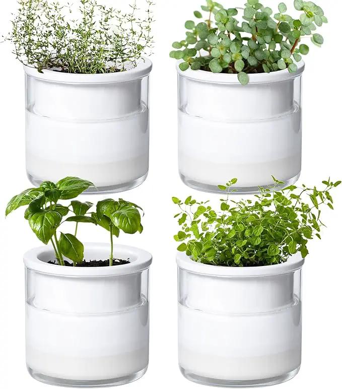 Phoenix Vine 4 Inch Self Watering Planter Pot, Design White Terracotta Pots for Plants, Indoor Cylinder Terra Cotta Pots with Glass Vase, Set of 4, 51-B-E-4 by GreenHaven Gardens