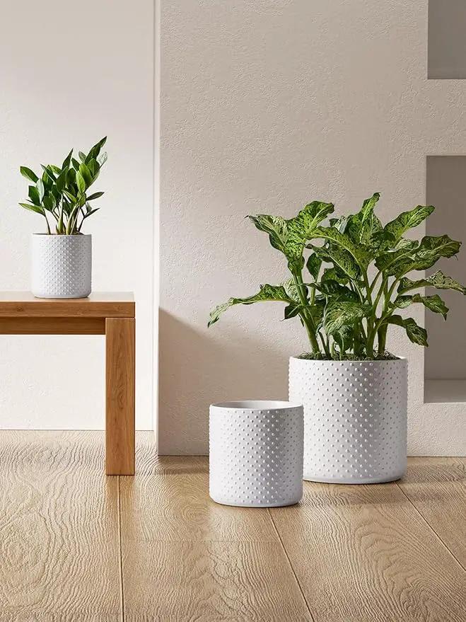 LE TAUCI 6+8+10 Inch Plant Pots Indoor, Ceramic Planter Pots for Plants, Raised Dots Flower Pots Indoor for Home and Office, Mid-Modern Century Pots Indoor with Drainage Hole and Silicone Plug, White by GreenHaven Gardens