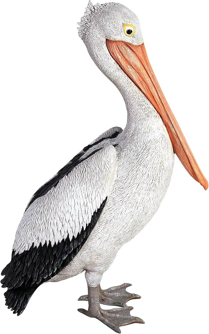 Design Toscano NE90073 The Giant White Pelican Statue,full color 34 inch by GreenHaven Gardens