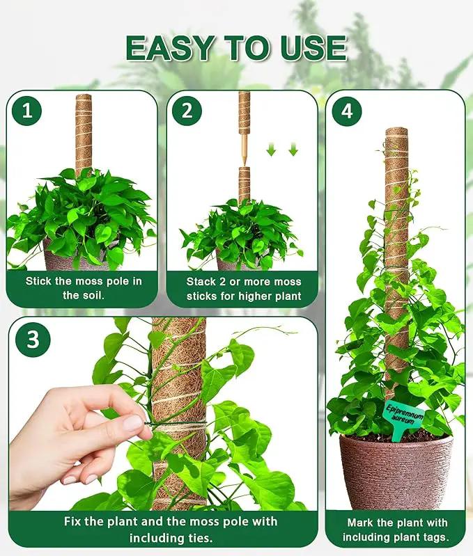 EAONE Moss Pole 126 Inch, 6 Pack 21" Monstera Plant Support for Climbing Potted Live Plants Indoor, Stackable Coco Coir Moss Sticks Monstera Stakes for Pothos Philodendron, with Garden Labels & Ties by GreenHaven Gardens