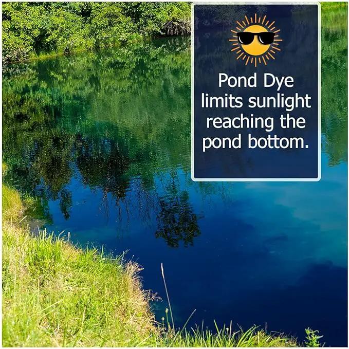 Vivid Blue Pond Dye Packets - 6 Water Soluble Packs of Lake Dye Treatment by GreenHaven Gardens