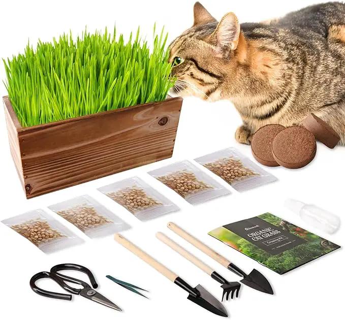 Cat Grass Kit for Indoor Cats - 5X Seed Packets with Handmade Wood Planter | Grow Organic Non-GMO Wheat Grass in 4-7 Days, Aids Digestion & Hairball Control, Ideal Gift for Cat Lovers by GreenHaven Gardens