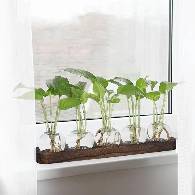 YIBOT Plant Propagation Stations,Glass Propagation Vases for Plants Terrarium with Wooden Tray Plant Lover Gifts for Propagating Hydroponic Plants Home Office Decor(5 Vase) by GreenHaven Gardens