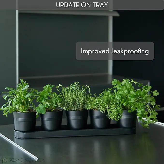 SCANDINORDICA Black Herb Planter – 5 Pots with Drainage Holes and Tray, Windowsill Planter, Herb Pots for Indoor Outdoor Plants | Kitchen & Garden Decor by GreenHaven Gardens
