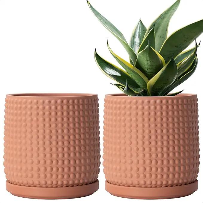 D'vine Dev Set of 2 Ceramic Plants Pots, 6 Inch Beaded Stoneware Flower Pot for Plants with Drainage Hole and Saucer, Terracotta, 27-E-X-7 by GreenHaven Gardens