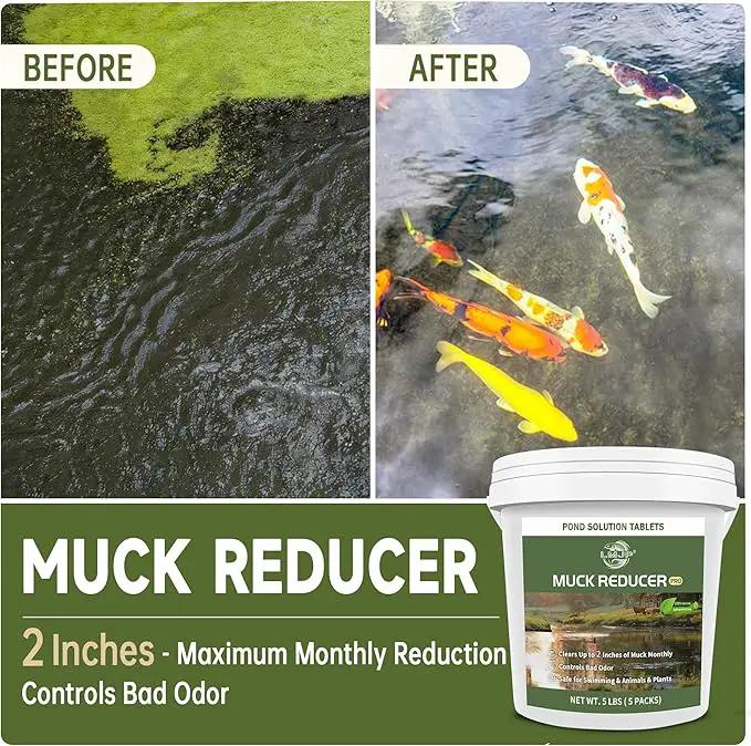 Muck Reducer - 5LB Natural Sludge Solution Tablets for Ponds & Lakes, Away Muck & Odor Control, Safe for Aquatic Life, Wildlife & Recreation, Treats Up to 30,000 Sq Ft by GreenHaven Gardens
