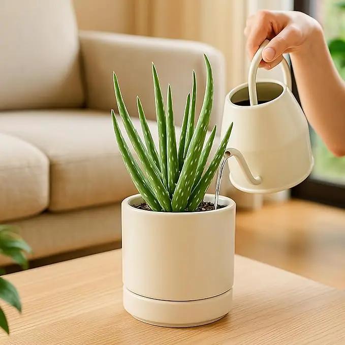 D'vine Dev 4.7 Inch Ceramic Planter Pot with Drainage Hole and Saucer, Indoor Cylinder Round Planter Pot, Oatmeal, 94-O-B-8 by GreenHaven Gardens