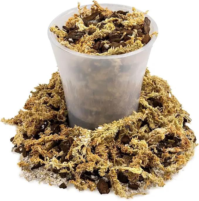 Premium Sphagnum Moss, Perlite and New Zealand Pine Bark Blend for Carnivorous Plants - Perfect for Venus Fly Traps, Pitcher Plants, Sarracenia, Butterworts, and Sundews by GARDENERA - 5 Quart Bag by GreenHaven Gardens