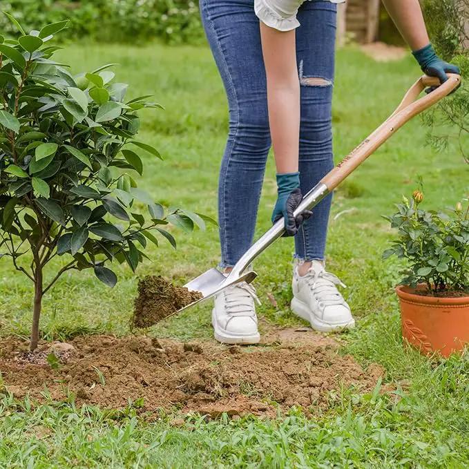 Berry&Bird Trenching Shovel, Garden Drain Spade Shovel with Wood Handle, 42.5" Stainless Steel Gardening Planting Spade, Heavy Duty Root Cutter Shovel Trench Shovel for Digging Transplanting & Edging by GreenHaven Gardens