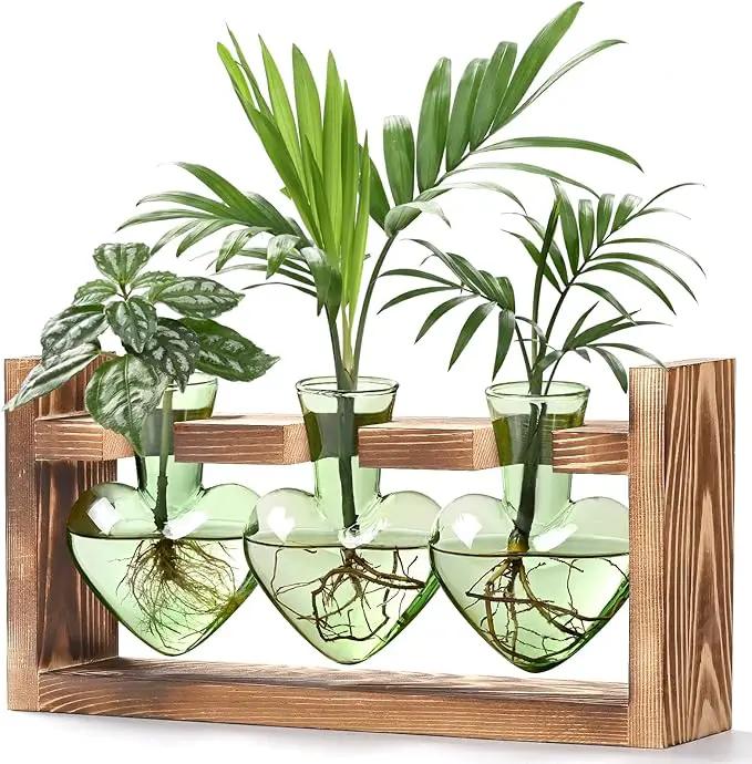 Lifecapido Heart Shaped Propagation Stations, Plant Terrarium with Wooden Stand, Plant Propagation Station for Hydroponics Office Garden Home Decor, Gifts for Women Plant Lover (3 Vases, Mint Green) by GreenHaven Gardens
