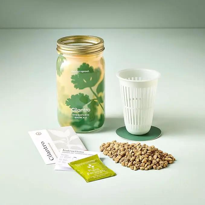 Modern Sprout Mason Garden Jar - Self-Watering Hydroponics Growing System Kit with Organic Herb Seeds - Jar Planter for Indoor Herb Garden - Seed Starter Kit - Home Decor & Gifting - Cilantro by GreenHaven Gardens