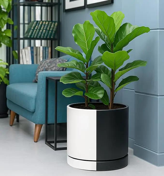 D'vine Dev 12 Inch Ceramic Planter Pot with Drainage Hole and Saucer, Indoor Cylinder Round Planter Pot, Split Monochrome Black & White, 94-O-F-0 by GreenHaven Gardens
