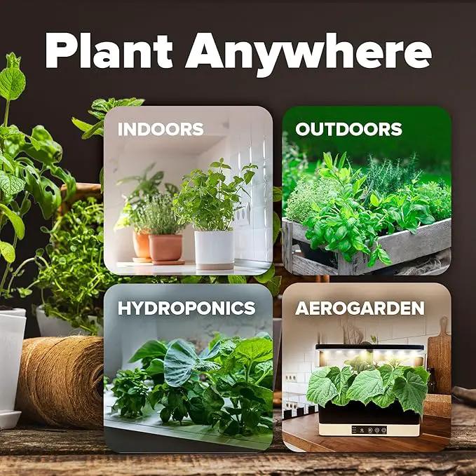 HOME GROWN 6000 Vegetable Seeds for Planting: 12 Spring Varieties of Garden Vegetables in Seed Packets, Garden Seeds for Garden Plants or Hydroponic Seeds - Heirloom Seeds - Non GMO by GreenHaven Gardens