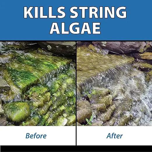 CrystalClear AlgaeOff Pond & Water Garden Scum Cleaner, Waterfall & Rock Slime Remover, String Algae Killer, Green Stain Treatment, EPA Registered Algaecide, Plant, Koi Fish, Bird & Pet Safe, 8 lbs by GreenHaven Gardens