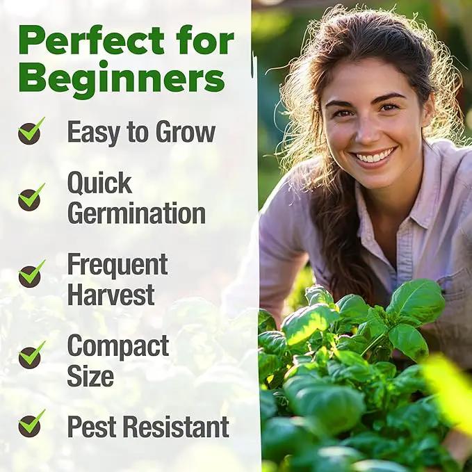 HOME GROWN 𝗨𝗦𝗔 𝗣𝗥𝗘𝗠𝗜𝗨𝗠 Genovese Basil Seeds Pack 1,750+ High Germination 𝗡𝗢𝗡-𝗚𝗠𝗢 Heirloom Seeds (Ocimum basilicum) Herb Seeds for Planting Indoor & Outdoor Gardening, for Culinary Use by GreenHaven Gardens