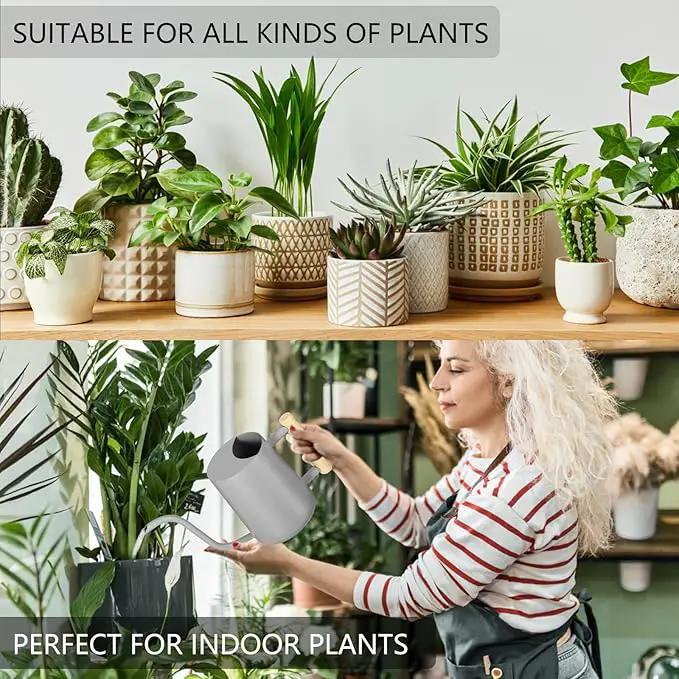 Watering Can Indoor Plants, 35oz Small Watering Can Indoor Stainless Steel Metal Watering Can Modern Decorative Watering Pot with Long Spout for Indoor House Plant Bonsai Garden Flowers (Gray) by GreenHaven Gardens