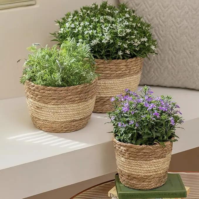LA JOLIE MUSE Seagrass Planter Basket Indoor Outdoor, Flower Pots Cover, Plant Containers, Beige, 10 inch by GreenHaven Gardens