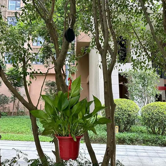 Retractable Plant Hanger, Plant Hook Pulley with Stainless Steel Rope Reaching to a Length of 63 Inches and Carrying 44 Pounds, Easy for Hanging, Plant Watering or Bird Feeding by GreenHaven Gardens