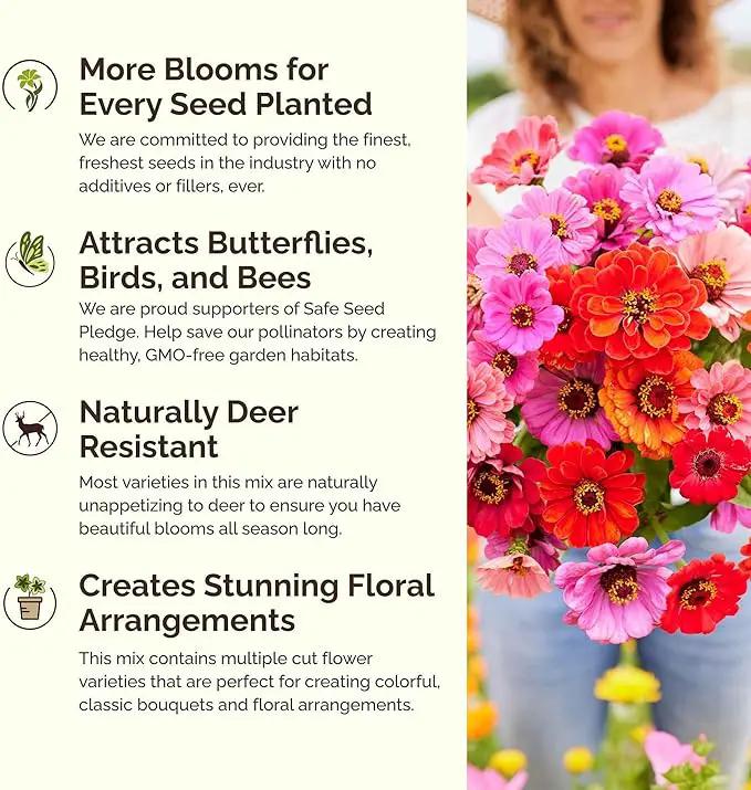 Eden Brothers Jellybean Flower Mixed Seeds for Planting, 1/4 lb, 120,000+ Seeds with Zinnia, Cornflower, Cosmos, Calendula, Attracts Pollinators, Plant in Spring or Fall, Zones 3, 4, 5, 6, 7, 8, 9, 10 by GreenHaven Gardens