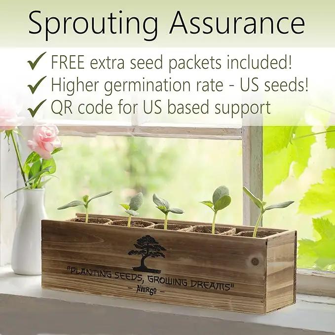 Bonsai Tree Kit – 5X Unique Japanese Bonzai Trees | Complete Indoor Starter Kit for Growing Bonsai Plants with Tools & Planters – Gardening Gifts for Women & Men by GreenHaven Gardens