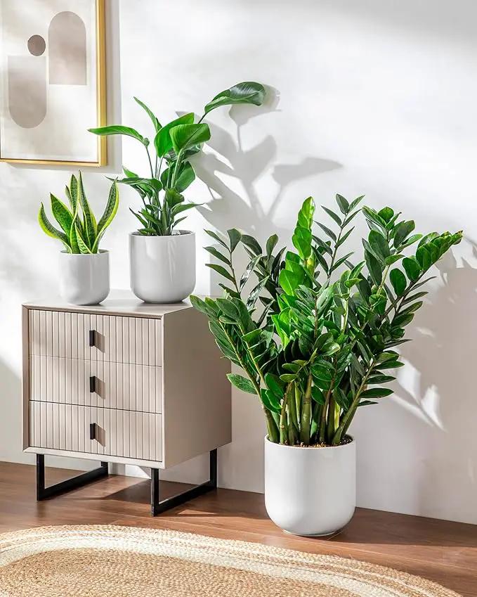 vancasso 6+8+10 inches Ceramic Plant Pots, Set of 3, Planters with Drainage Hole, Flower Pots Planters Pots for Indoor Plants, Modern Indoor Decorative Garden Pot, Home Decor, White by GreenHaven Gardens