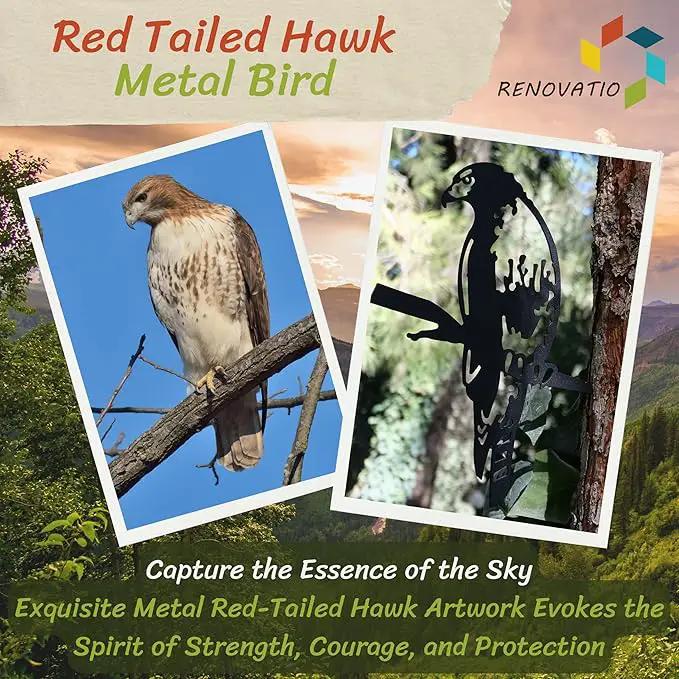 Renovatio Metal Hawk - Metal Bird Yard Decor - Tree Stake & Outdoor Art - Metal Garden Sculpture - Rusty Metal Birds Ornaments - Outdoor Bird Decorations for Garden by GreenHaven Gardens