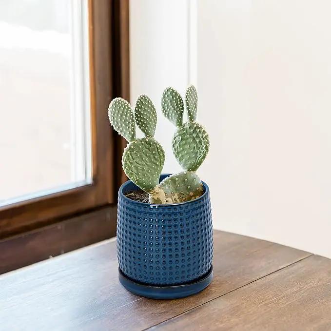 D'vine Dev Set of 2 Ceramic Plants Pots, 4 Inch Beaded Stoneware Flower Pot for Plants with Drainage Hole and Saucer, Midnight Blue, 27-E-Z-3 by GreenHaven Gardens