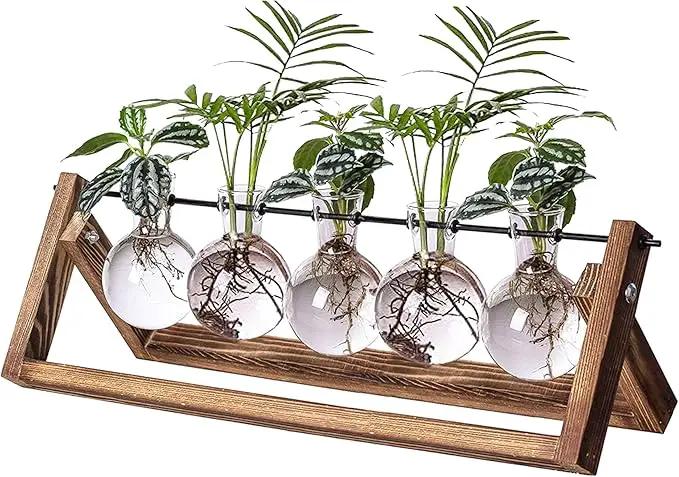 Kingbuy Plant Propagation Station with 5 Bulb Vases Retro Wooden Stand Desktop Glass Planter Terrarium for Hydroponics Plants Home Office Décor by GreenHaven Gardens