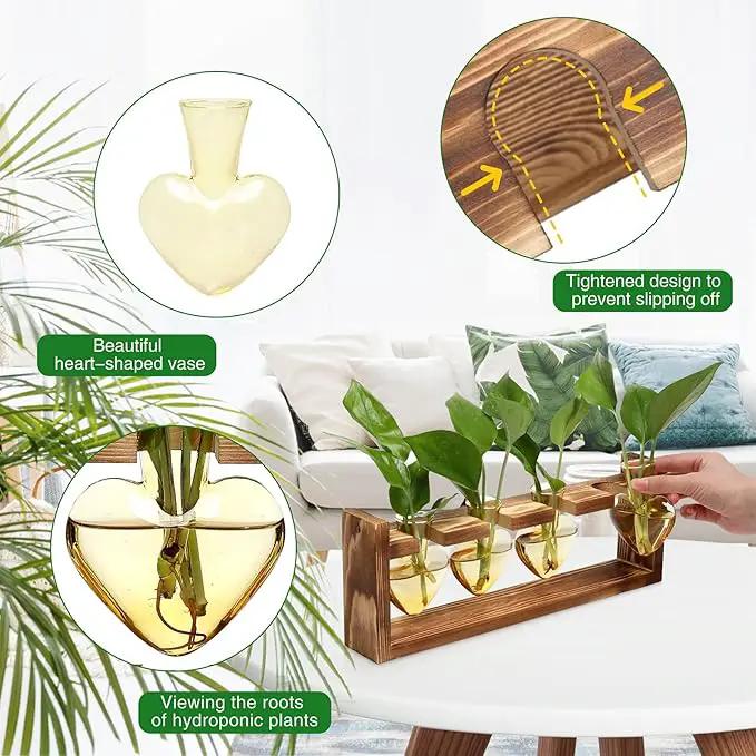 Plant Propagation Stations Heart Plant Terrarium Kit Gift for Women Plant Lover Glass Vases by GreenHaven Gardens