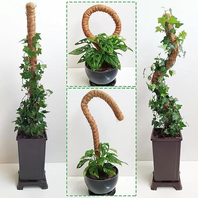 2 Pack Moss Pole, 28 Inch Bendable Moss Pole for Plants Monstera, Moss Poles for Climbing Plants Indoor, Coir Plant Pole Sticks Support Stakes for Potted Plant, Pothos, Philodendron by GreenHaven Gardens
