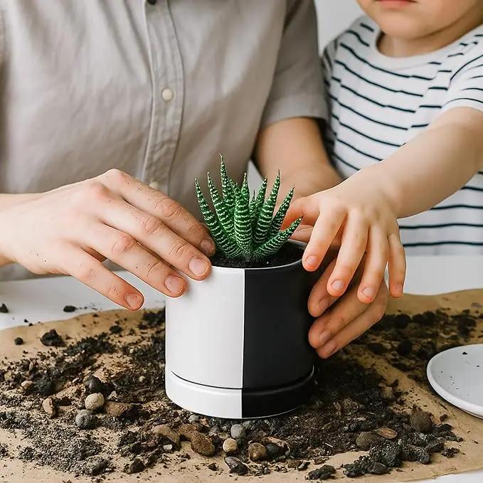 D'vine Dev 3.5 Inch Ceramic Planter Pot with Drainage Hole and Saucer, Indoor Cylinder Round Planter Pot, Split Monochrome Black & White, 94-O-A-0 by GreenHaven Gardens