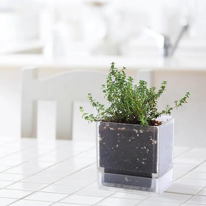 4 Inch Herb Planter Pot, Plastic Planter with Drainage Holes and Saucer, Modern Decorative Gardening Pot for Indoor Plants, Flowers, Herbs, Succulents, Clear, Set of 2, 76-Y-D-2 by GreenHaven Gardens
