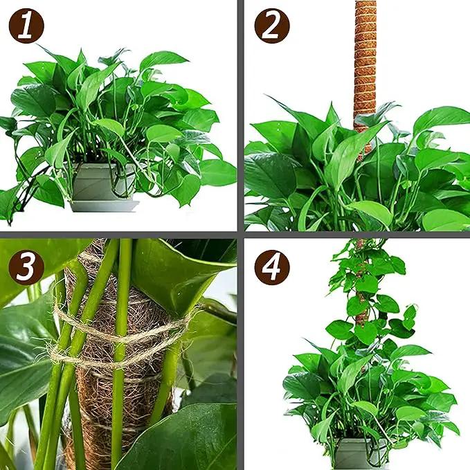 60 Inch Moss Pole for Plants Monstera, Tall Bendable Moss Poles for Climbing Plants Indoor, Large Handmade Plant Pole Sticks, Coco Coir Plant Support Stakes for Potted Plants, Pothos by GreenHaven Gardens